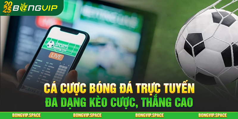 Cá Cược Bóng Đá Trực Tuyến - Đa Dạng Kèo Cược, Thắng Cao