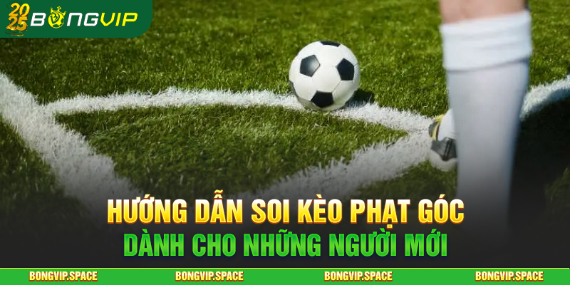 Hướng Dẫn Soi Kèo Phạt Góc Dành Cho Những Người Mới