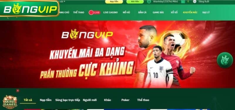 Thế nào là hoàn trả thể thao tại Bóng Vip