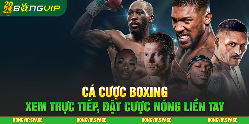 Cá Cược Boxing - Xem Trực Tiếp, Đặt Cược Nóng Liền Tay