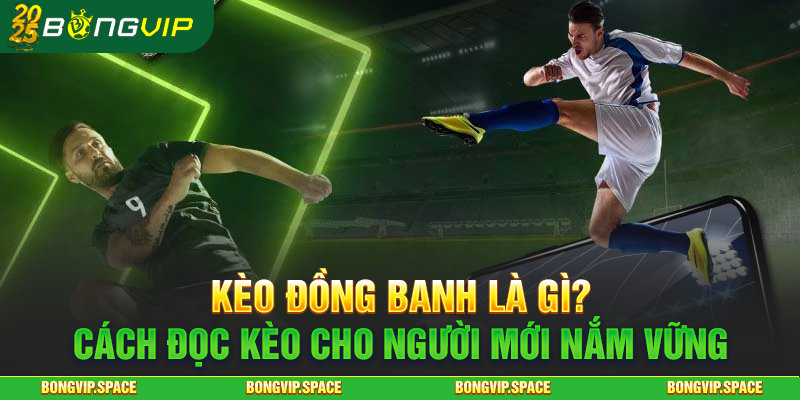 Kèo Đồng Banh Là Gì? Cách Đọc Kèo Cho Người Mới Nắm Vững